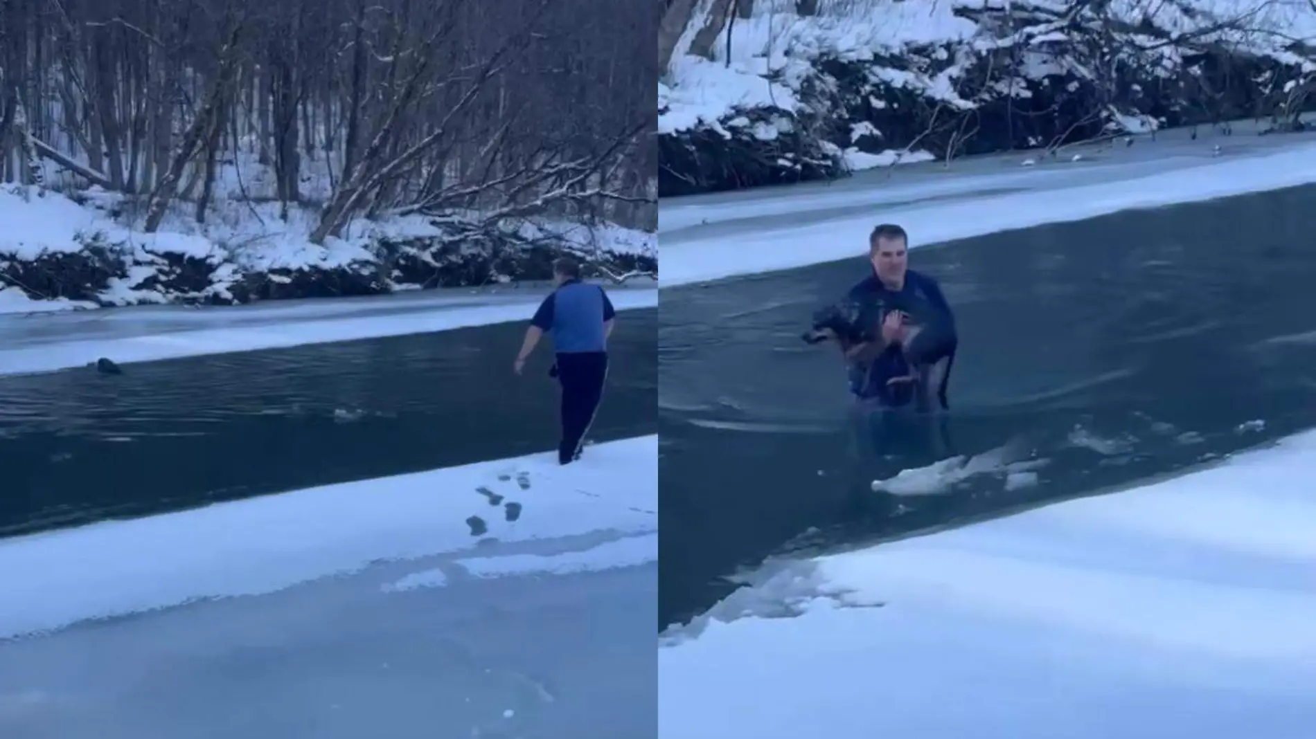 rescate de perrito en rio congelado